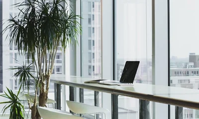 Minimal Business